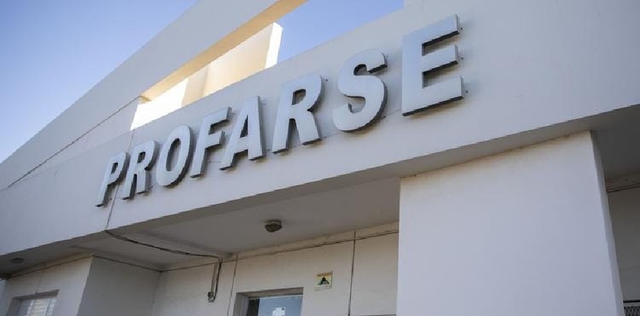 Un nuevo desaf�o para PROFARSE: producir� m�s de 6.500.000 de unidades de Fierritas